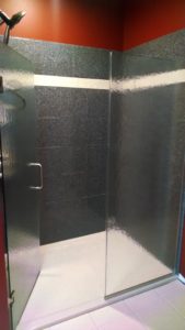 Onyx Shower with Glass Door